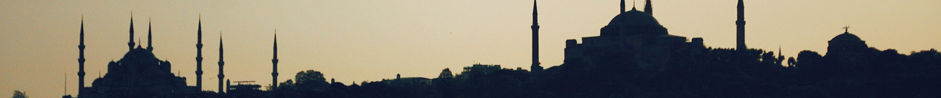 Detail of modern Istanbul skyline